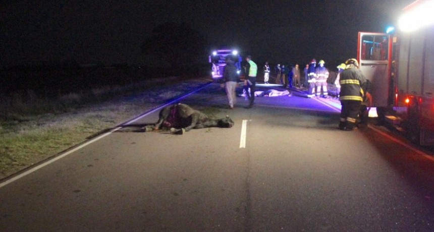 FATAL ACCIDENTE A METROS DE GENERAL PICO: Un muerto y dos personas heridas tras chocar un auto con un caballo suelto en medio de la ruta