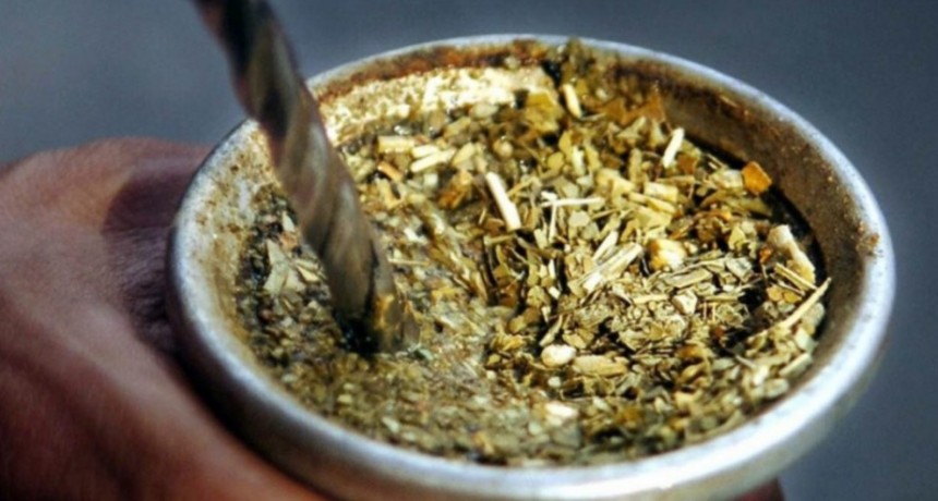 Cuántos kilos de yerba mate consumen los argentinos