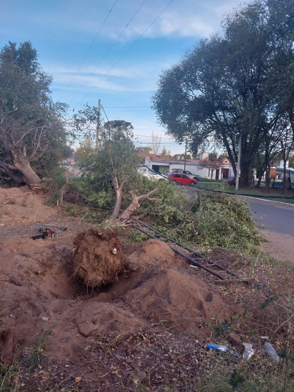 SACABAN UN ARBOL Y DEJARON SIN LUZ A MEDIO PUEBLO
