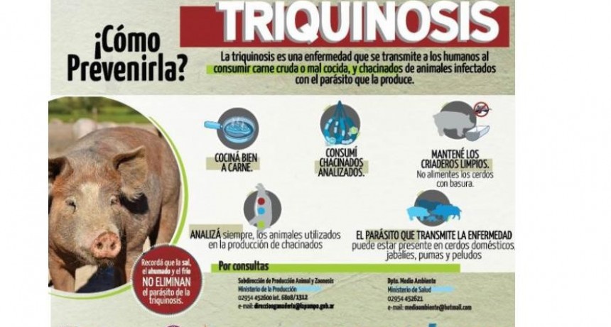 Se detectaron nuevos casos de jabalíes con triquinosis