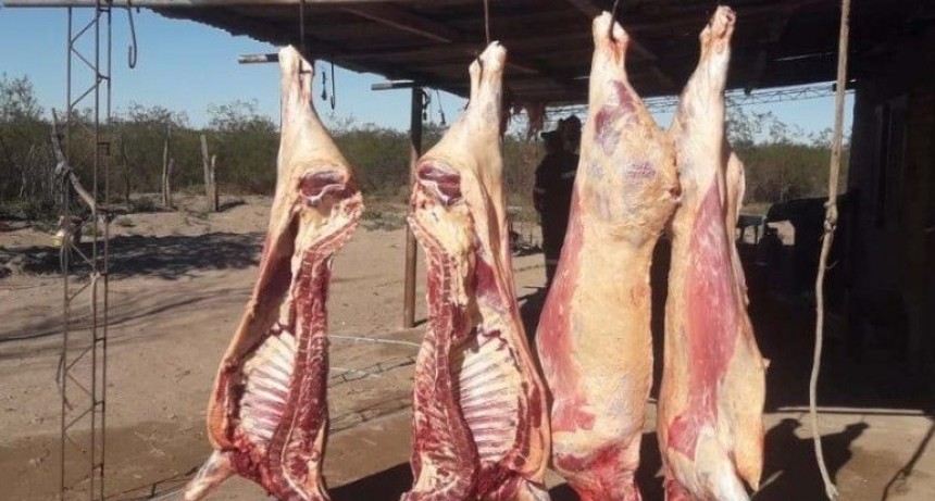 Me arruinaron: la Policía de Santa Isabel me detuvo, me sacó 550 kilos de carne y la tiró