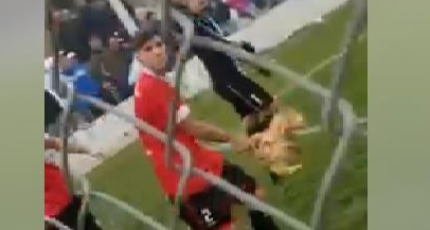 ESPANTOSO Y REPUDIABLE HECHO:: Jugador de fútbol corta la cabeza de una gallina en pleno partido (video)