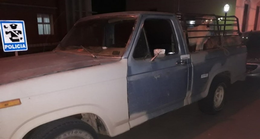 Telen: Furtivos detenidos con 7 perros