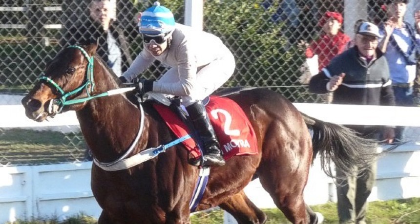 TURF: JAQUE AL REY (VIDEO)