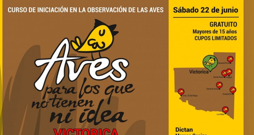 Curso de observación de aves en Victorica
