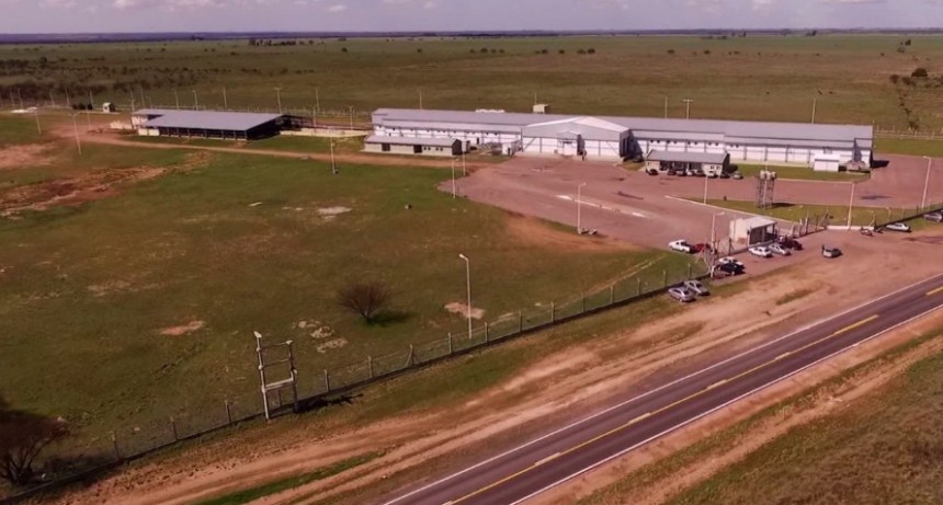 La Provincia vendió el frigorífico de Bernasconi en más de 400 millones de pesos