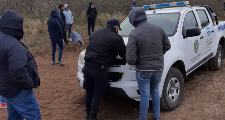 Carreras de galgos: se investiga el “falseamiento ideológico de documento público” 