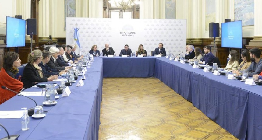 DIPUTADOS ORGANIZÓ LA JORNADA ESCLEROSIS MÚLTIPLE: ESCENARIO ACTUAL EN ARGENTINA
