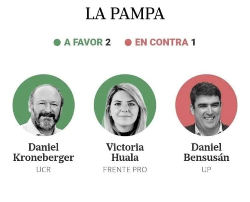 LEY BASES: EL VOTO DE LOS REPRESENTANTES PAMPEANOS. KRONEBERGER Y HUALA, VOTARON A FAVOR.
