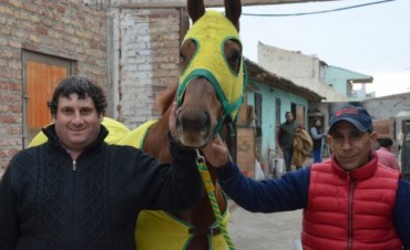Turf: Sharper el rey de la calle