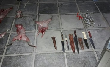 Los cazadores estaban fuertemente armados y se habían escapado de la policía en Víctorica. 