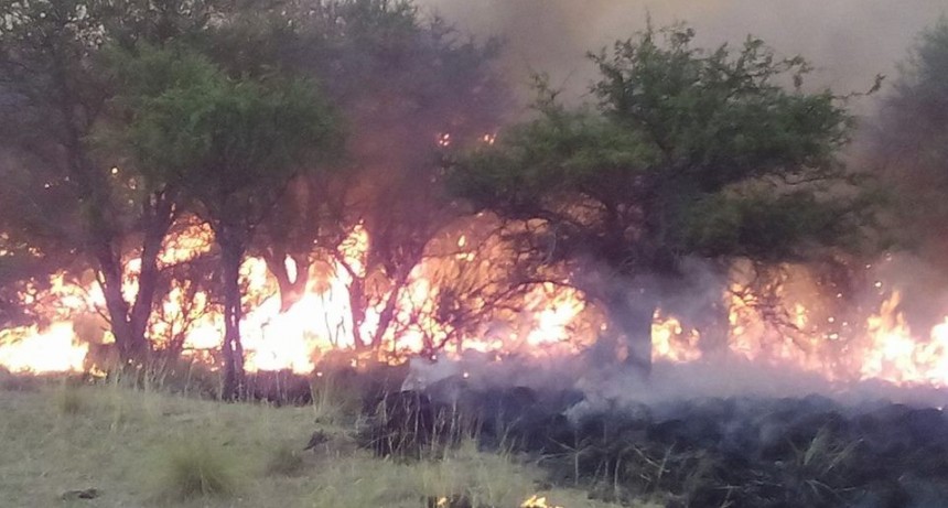 Pronostican un verano con severos incendios rurales en La Pampa