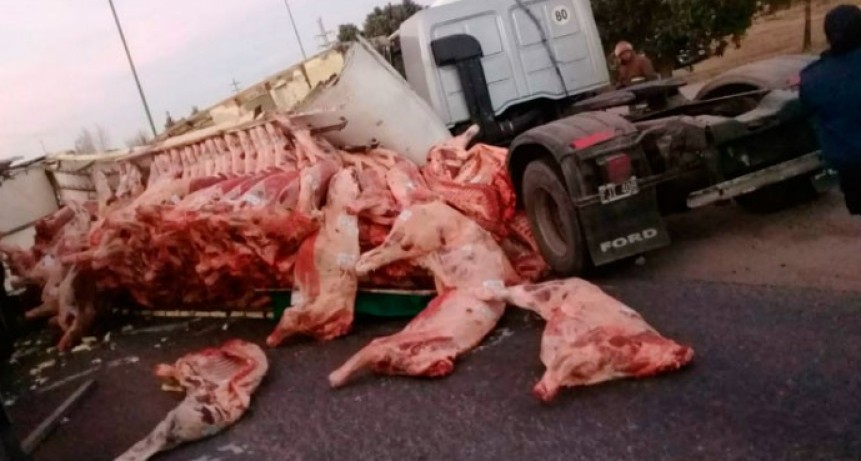 Camionero pampeano volcó en San Luis. La gente se llevó toda la carne que transportaba [VIDEO]