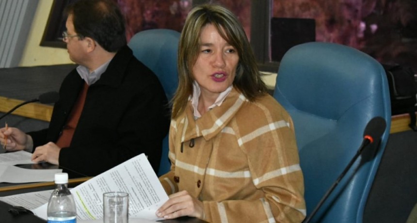 BRONQUIOLITIS: DIPUTADOS APROBARON LA EMERGENCIA SANITARIA POR 90 DÍAS