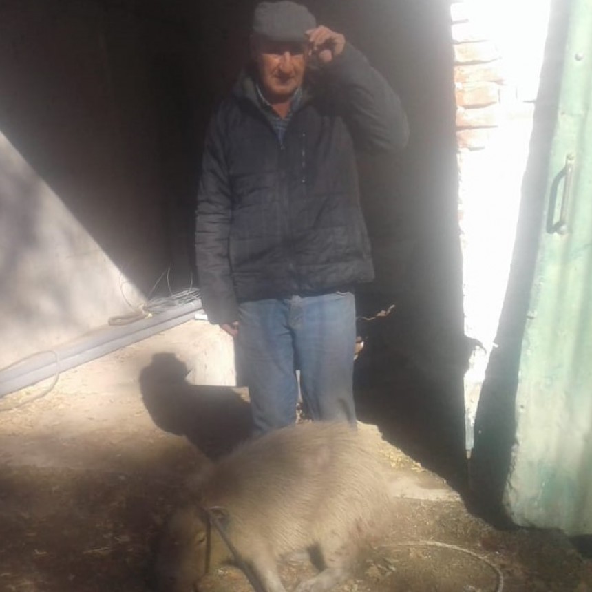El puma...que fue carpincho