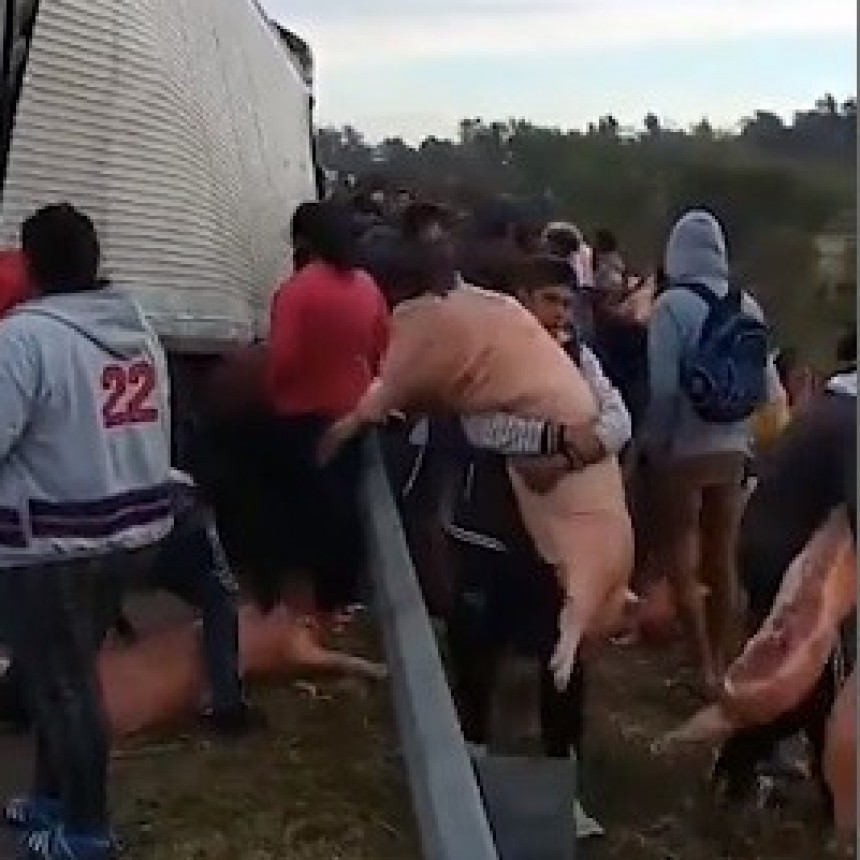EL FIN DE ....LECHON (VIDEO)