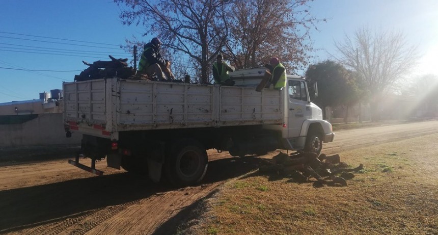 ASISTENCIA A LOS HOGARES POR LAS BAJAS TEMPERATURAS 