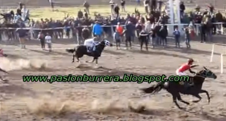 TURF: GANÓ CUCARACHA