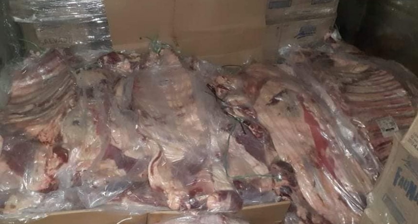 SECUESTRAN 4.000 KG DE CARNE QUE IBA OCULTA EN UN CONTAINER
