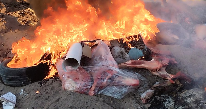 Incineraron 2.000 kilos de carne vacuna secuestradas