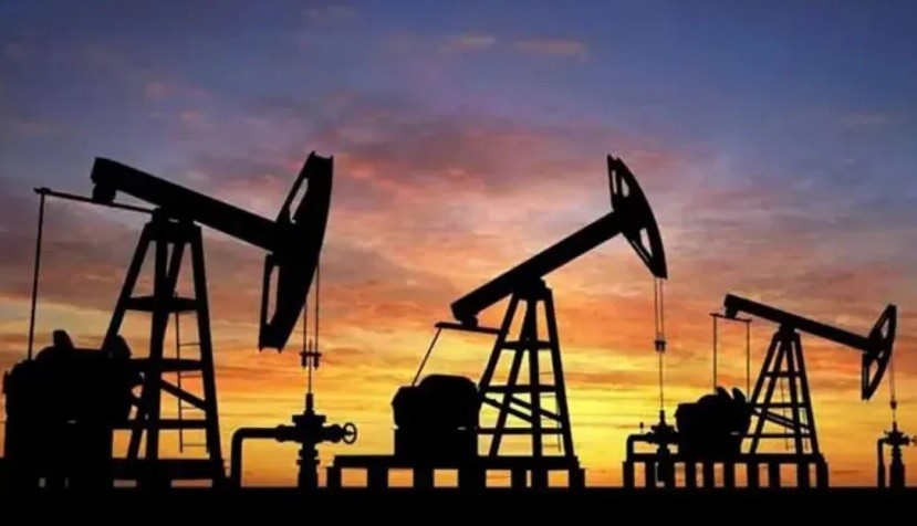 La Secretaría de Energía y Minería pone el Data Room a disposición de la Legislatura