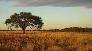 20 de julio: La Pampa celebra el día de su provincialización 