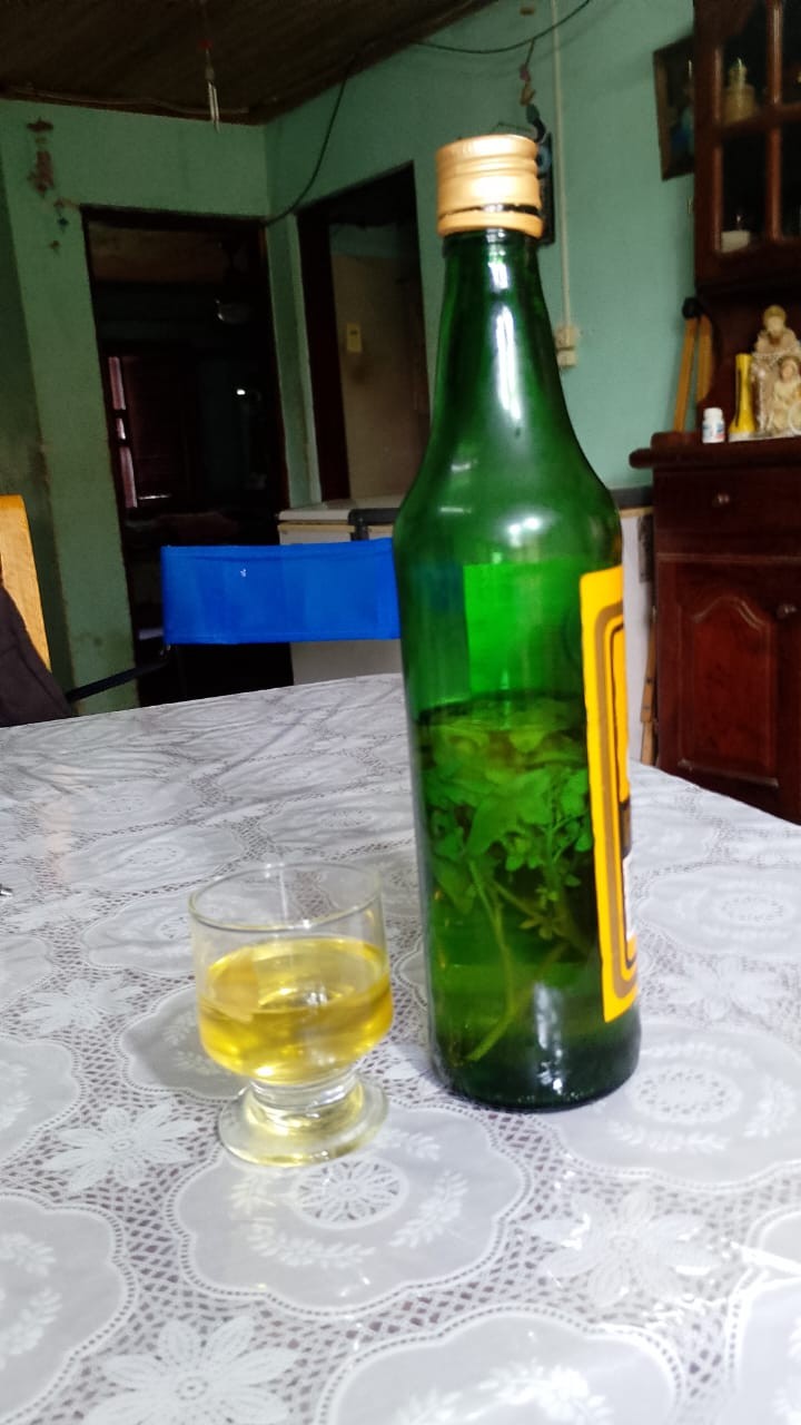Caña con ruda: el ritual que marca el inicio de agosto