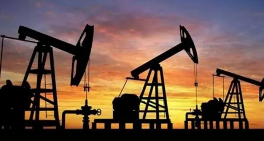 La Secretaría de Energía y Minería pone el Data Room a disposición de la Legislatura