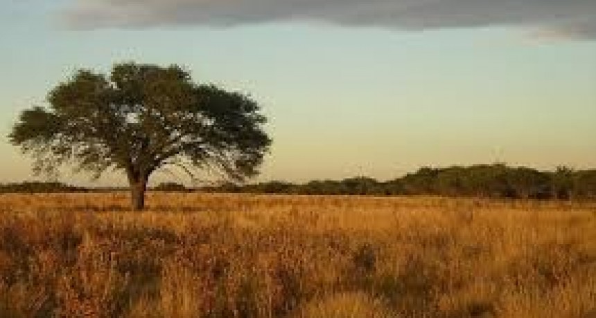 20 de julio: La Pampa celebra el día de su provincialización 