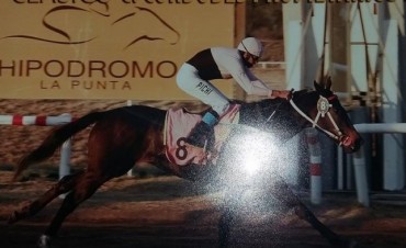 TURF:  Caballo de Victoriquenses triunfa en La Punta