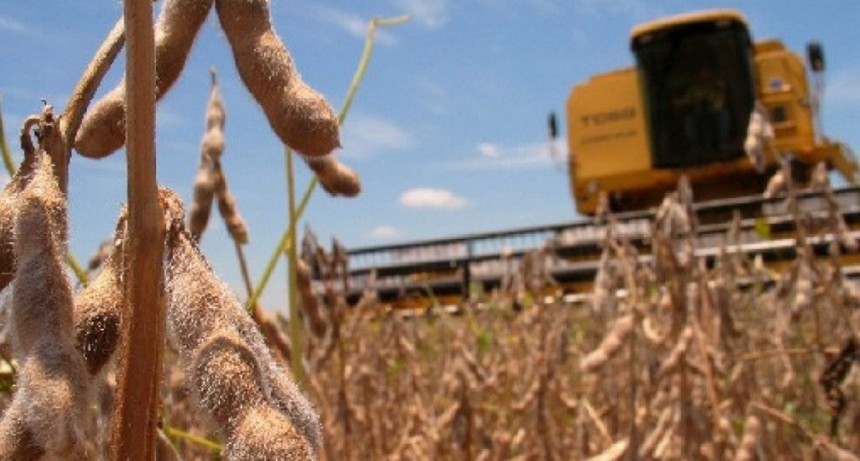 Fin al Fondo de la Soja: La Pampa pierde $350 millones
