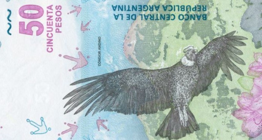 Entra en circulaci&oacute;n el nuevo billete de 50 pesos