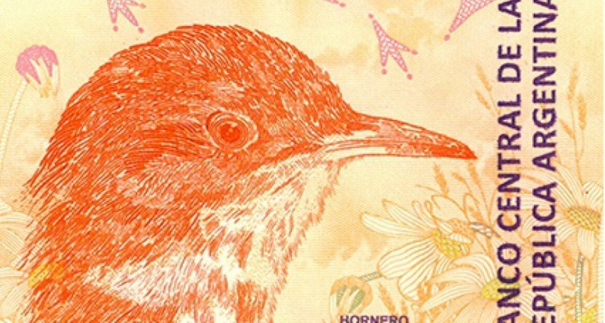 A 21 MESES DE SU LANZAMIENTO, EL BILLETE DE $1000 YA PERDIÓ MÁS DEL 70% DE SU VALOR EN DÓLARES