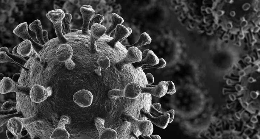 Coronavirus: Santa Rosa, Macachín y Catriló tienen circulación comunitaria