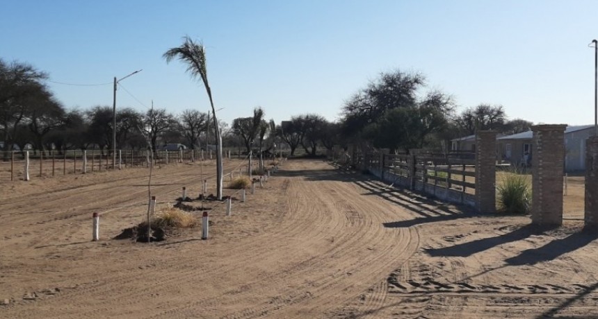LOVENTUEL: CONSTRUYE AVENIDAS, PLANTARON PALMERAS Y FRESNOS EN DIFERENTES CALLES, NUEVA ILUMINACIÓN LED Y CONSTRUIRÁ 6 NUEVAS VIVIENDAS