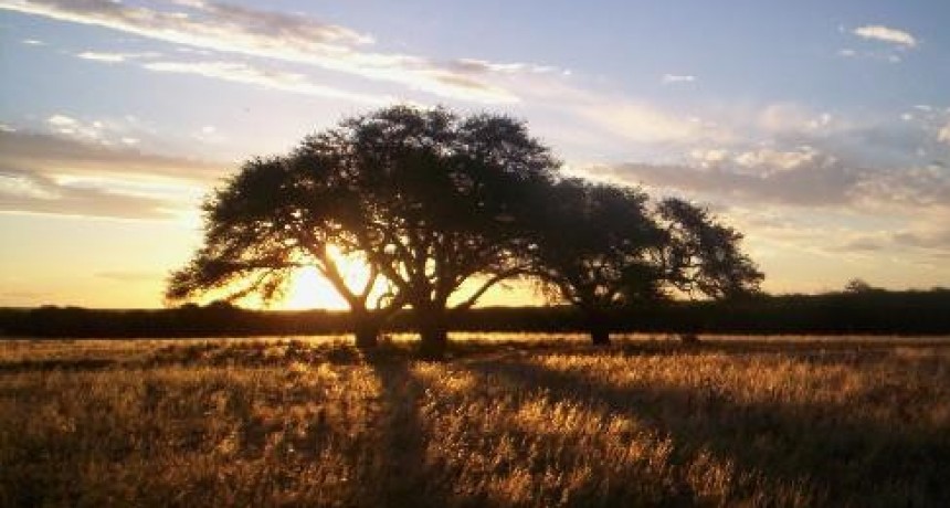 Primeros pasos hacia un nuevo Parque Nacional en La Pampa