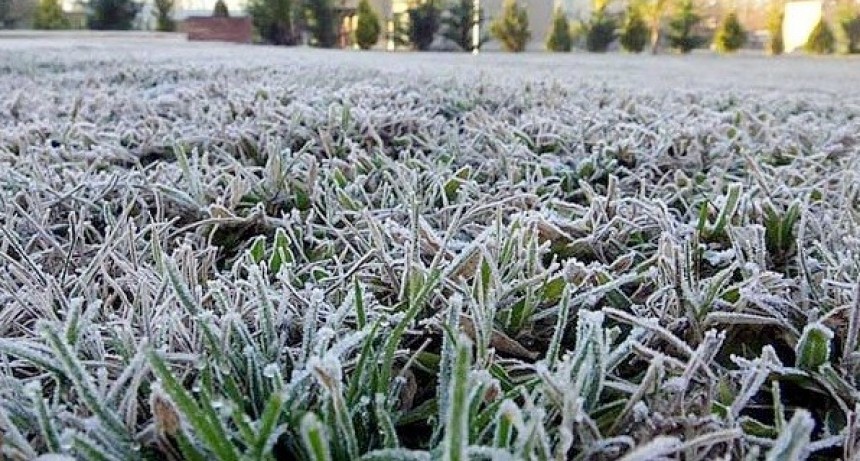 Se viene una ola polar ....llega la nieve?