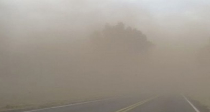 Alerta por vientos intensos con ráfagas para La Pampa 