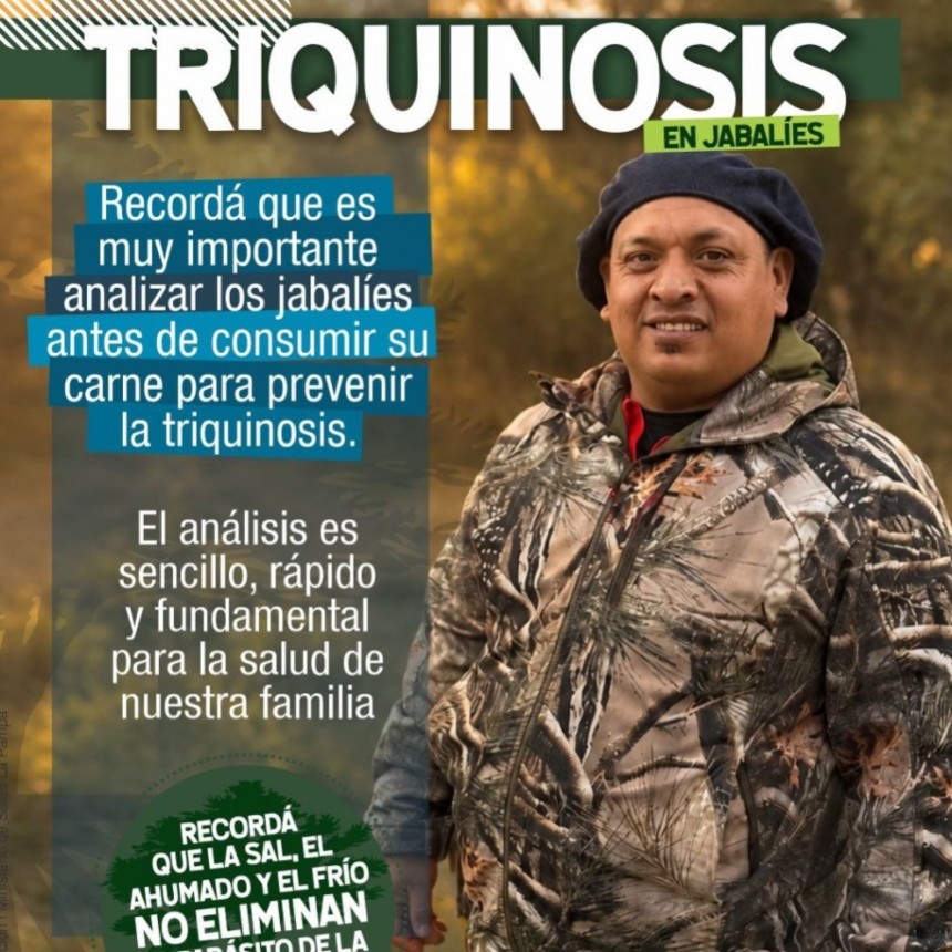 Detectan un nuevo caso de triquinosis proveniente de la actividad cineg&eacute;tica