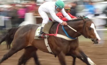 Turf: El caballo victoriquense A Piacere se quedó con el clásico 
