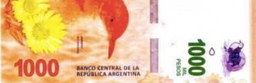 El billete de $1000 con la imagen del hornero estaría en la calle en octubre