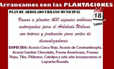 PLAN DE ARBOLADO MUNICIPAL