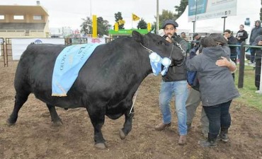 Luan Toro tiene su Gran Campeón