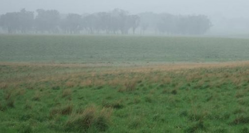 Por “El Niño”, esta primavera podría será más lluviosa que años anteriores