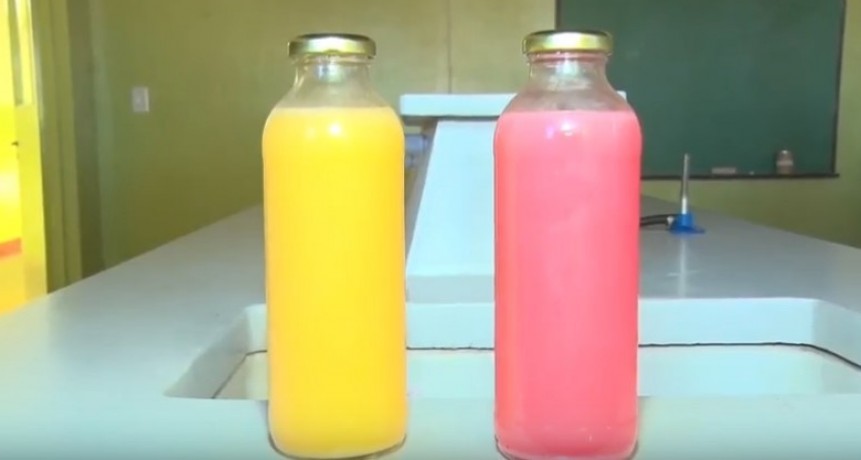 Bebida Energizante fabricada en la Escuela Agrotécnica