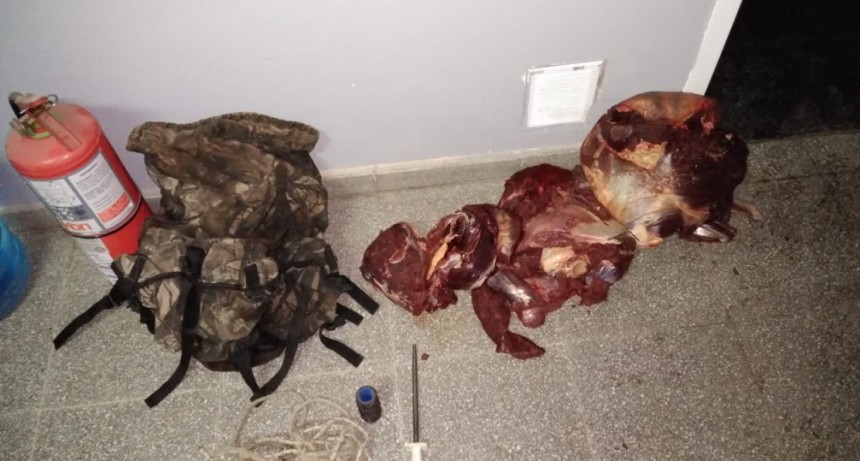 Atraparon a furtivos y fueron demorados