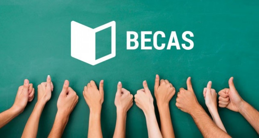 BECAS PROVINCIALES