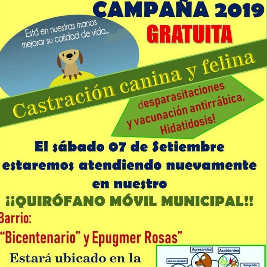 Continúa la castración de mascotas por los barrios de Victorica