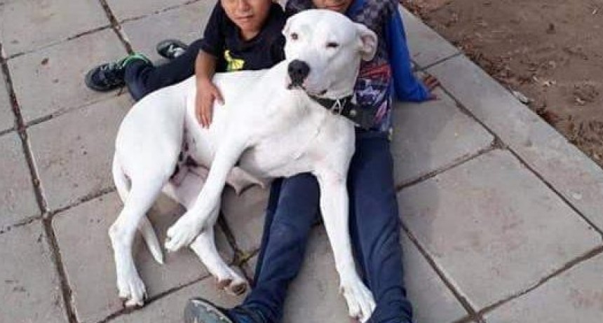 Todos buscan a María