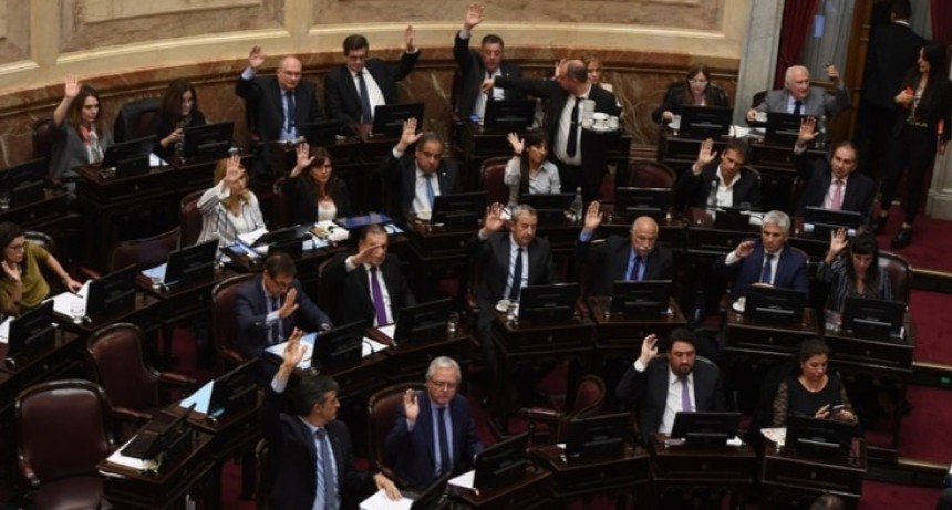 El Senado aprobó por unanimidad la emergencia alimentaria